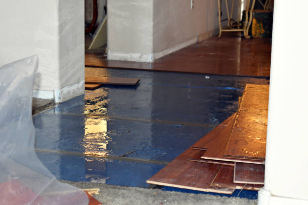 Professional Water Damage Restoration technician working in Greene, ME